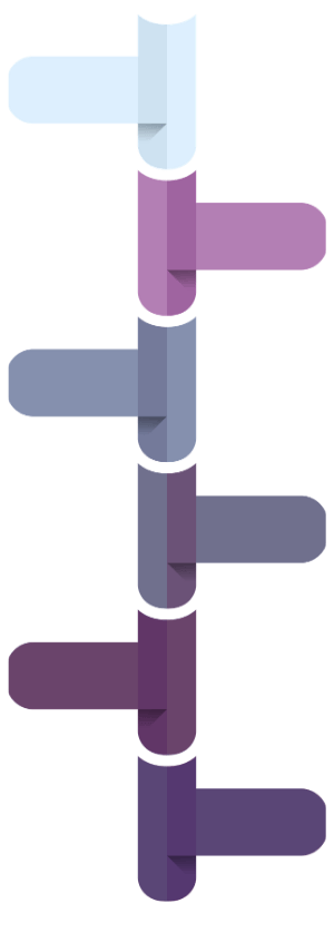 timeline timeline
